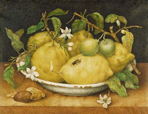 still life painting of lemons